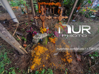 Graves are decorated with marigold flowers at Cemetery del Carmen, in the community of San Miguel Tzinacapan, during the Mexican Day of the...