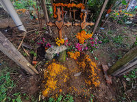 Graves are decorated with marigold flowers at Cemetery del Carmen, in the community of San Miguel Tzinacapan, during the Mexican Day of the...