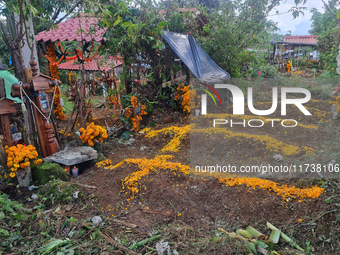 Graves are decorated with marigold flowers at Cemetery del Carmen, in the community of San Miguel Tzinacapan, during the Mexican Day of the...