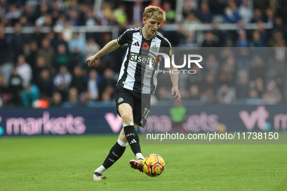 Anthony Gordon of Newcastle United plays during the Premier League match between Newcastle United and Arsenal at St. James's Park in Newcast...