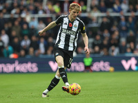 Anthony Gordon of Newcastle United plays during the Premier League match between Newcastle United and Arsenal at St. James's Park in Newcast...