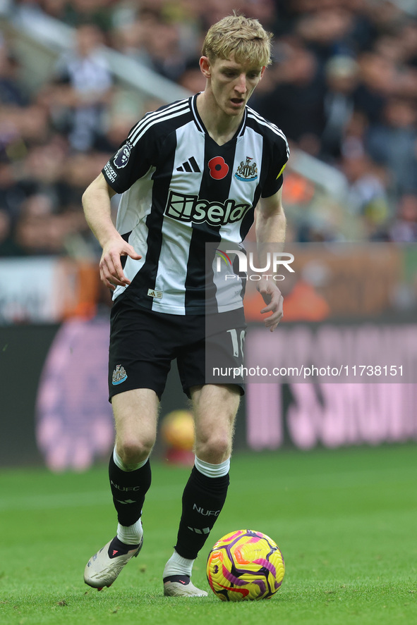 Anthony Gordon of Newcastle United participates in the Premier League match between Newcastle United and Arsenal at St. James's Park in Newc...