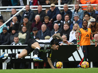 Sandro Tonali of Newcastle United participates in the Premier League match between Newcastle United and Arsenal at St. James's Park in Newca...