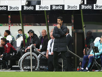 Arsenal manager Mikel Arteta looks on during the Premier League match between Newcastle United and Arsenal at St. James's Park in Newcastle,...