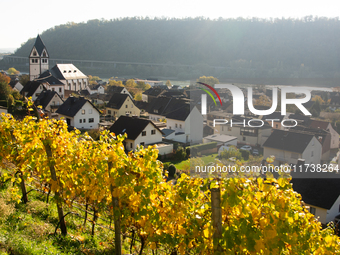 A general view of a winery field at the end of the harvest season in Leutesdorf, Germany, on November 3, 2024. (