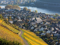 A general view of a winery field at the end of the harvest season in Leutesdorf, Germany, on November 3, 2024. (