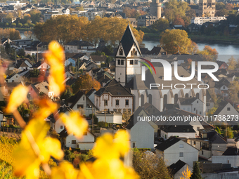 A general view of a winery field during the end of the harvest season in Leutesdorf, Germany, on November 3, 2024 (