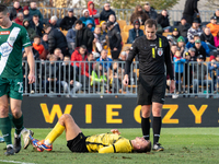 Referee Piotr Szypula officiates the game between Wieczysta Krakow and Olimpia Grudziadz in Krakow, Poland, on November 3, 2024, during the...