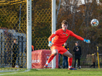 Goalkeeper Antoni Mikulko participates in the game between Wieczysta Krakow and Olimpia Grudziadz in Krakow, Poland, on November 3, 2024. Th...