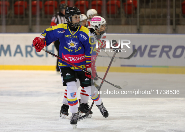 A hockey match between KS Cracovia 1906 (reds) and MMKS Podhale Nowy Targ (blues) takes place at the Adam 'Roch' Kowalski ice rink on the oc...