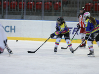 A hockey match between KS Cracovia 1906 (reds) and MMKS Podhale Nowy Targ (blues) takes place at the Adam 'Roch' Kowalski ice rink on the oc...