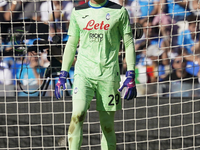 Marco Carnesecchi of Atalanta BC during the Serie A match between SSC Napoli and Atalanta BC at Stadio Diego Armando Maradona Naples Italy o...