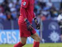 Alex Meret of SSC Napoli during the Serie A match between SSC Napoli and Atalanta BC at Stadio Diego Armando Maradona Naples Italy on 3 Nove...