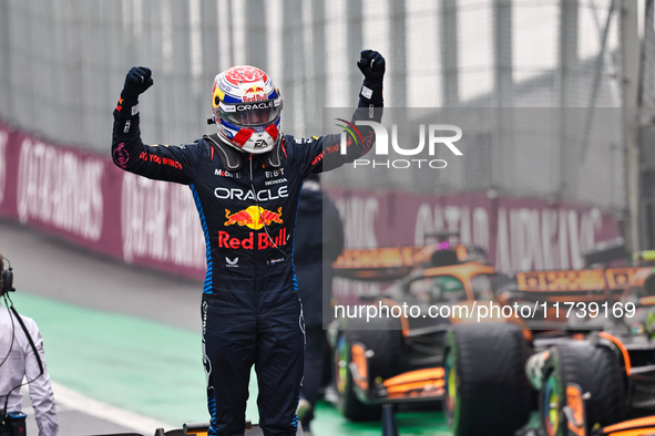 Max Verstappen of the Netherlands wins driving the Oracle Red Bull Racing RB20 Honda RBPT during the Formula 1 Lenovo Grande Premio De Sao P...