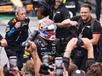 Max Verstappen of the Netherlands wins driving the Oracle Red Bull Racing RB20 Honda RBPT during the Formula 1 Lenovo Grande Premio De Sao P...