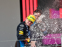 Max Verstappen of the Netherlands drives the Oracle Red Bull Racing RB20 Honda RBPT during the Formula 1 Lenovo Grande Premio De Sao Paulo 2...