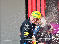 Max Verstappen of the Netherlands drives the Oracle Red Bull Racing RB20 Honda RBPT during the Formula 1 Lenovo Grande Premio De Sao Paulo 2...