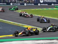 Max Verstappen of the Netherlands drives the Oracle Red Bull Racing RB20 Honda RBPT during the Formula 1 Lenovo Grande Premio De Sao Paulo 2...