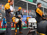 Lando Norris of the UK drives the McLaren F1 Team MCL38 Mercedes during the Formula 1 Lenovo Grande Premio De Sao Paulo 2024 in Sao Paulo, B...