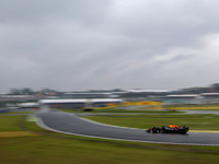 Max Verstappen of the Netherlands drives the Oracle Red Bull Racing RB20 Honda RBPT during the Formula 1 Lenovo Grande Premio De Sao Paulo 2...