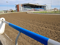 The grandstand is shown at Woodbine Racetrack in Toronto, Canada, on November 3, 2024. (