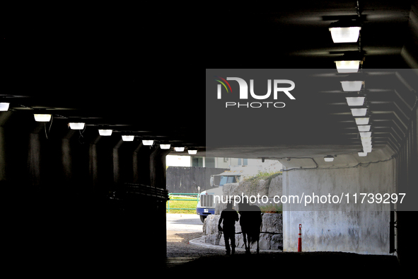 A thoroughbred racehorse is led through the tunnel under the EP Taylor turf course to the paddock before the first race at Woodbine Racetrac...