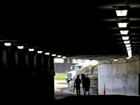 A thoroughbred racehorse is led through the tunnel under the EP Taylor turf course to the paddock before the first race at Woodbine Racetrac...