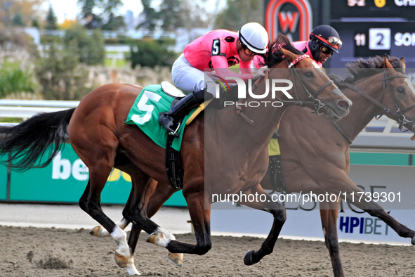 Jockey Sahin Civaci rides War of Destiny to a win in the first race at Woodbine Racetrack in Toronto, Canada, on November 3, 2024. 