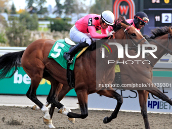 Jockey Sahin Civaci rides War of Destiny to a win in the first race at Woodbine Racetrack in Toronto, Canada, on November 3, 2024. (