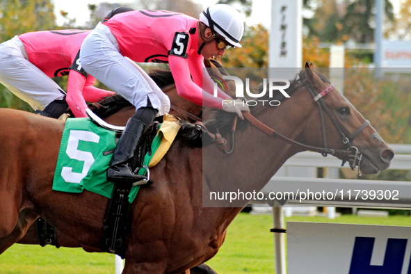 Jockey Sahin Civaci rides War of Destiny to a win in the first race at Woodbine Racetrack in Toronto, Canada, on November 3, 2024. 