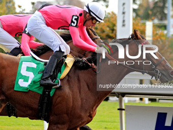 Jockey Sahin Civaci rides War of Destiny to a win in the first race at Woodbine Racetrack in Toronto, Canada, on November 3, 2024. (