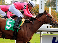 Jockey Sahin Civaci rides War of Destiny to a win in the first race at Woodbine Racetrack in Toronto, Canada, on November 3, 2024. (