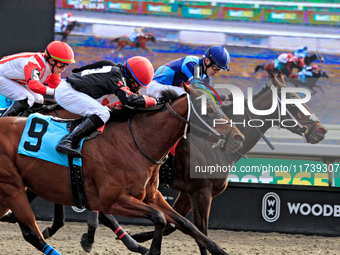 Jockey Juan Crawford rides Lemon Twist (9) to a win in the second race at Woodbine Racetrack in Toronto, Canada, on November 3, 2024. (