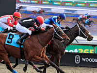 Jockey Juan Crawford rides Lemon Twist (9) to a win in the second race at Woodbine Racetrack in Toronto, Canada, on November 3, 2024. (