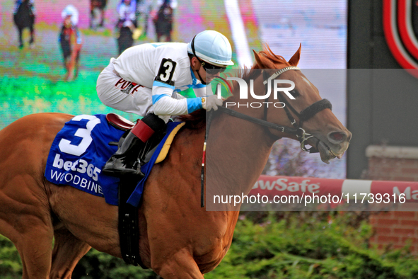 Jockey Rafael Hernandez rides Red River Rebel to a win in the third race at Woodbine Racetrack in Toronto, Canada, on November 3, 2024. 