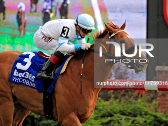 Jockey Rafael Hernandez rides Red River Rebel to a win in the third race at Woodbine Racetrack in Toronto, Canada, on November 3, 2024. (