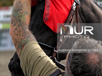 A groom removes a racehorse's blinkers following a race at Woodbine Racetrack in Toronto, Canada, on November 3, 2024. (