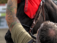 A groom removes a racehorse's blinkers following a race at Woodbine Racetrack in Toronto, Canada, on November 3, 2024. (