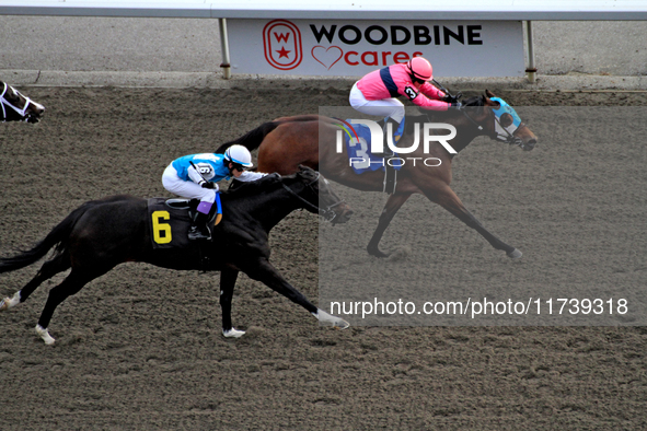 Jockey Skye Chernetz rides Highland Life (3) to a win in the fourth race at Woodbine Racetrack in Toronto, Canada, on November 3, 2024. 