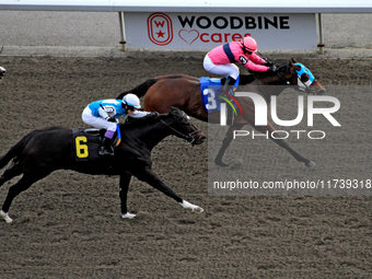 Jockey Skye Chernetz rides Highland Life (3) to a win in the fourth race at Woodbine Racetrack in Toronto, Canada, on November 3, 2024. (