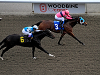 Jockey Skye Chernetz rides Highland Life (3) to a win in the fourth race at Woodbine Racetrack in Toronto, Canada, on November 3, 2024. (