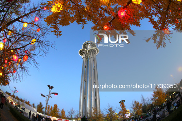 Ginkgo trees are silhouetted against the Olympic Tower in Beijing, China, on November 3, 2024. 