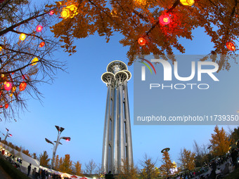 Ginkgo trees are silhouetted against the Olympic Tower in Beijing, China, on November 3, 2024. (