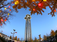 Ginkgo trees are silhouetted against the Olympic Tower in Beijing, China, on November 3, 2024. (