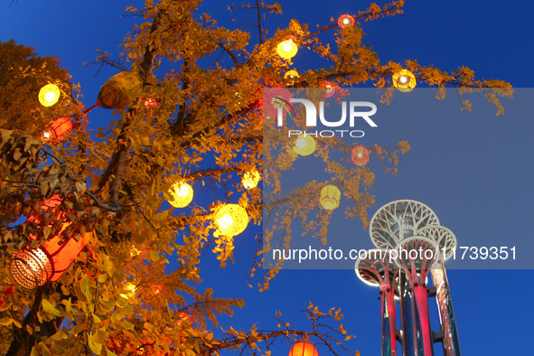 Ginkgo trees are silhouetted against the Olympic Tower in Beijing, China, on November 3, 2024. 