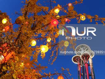 Ginkgo trees are silhouetted against the Olympic Tower in Beijing, China, on November 3, 2024. (