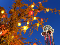 Ginkgo trees are silhouetted against the Olympic Tower in Beijing, China, on November 3, 2024. (