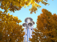 Ginkgo trees are silhouetted against the Olympic Tower in Beijing, China, on November 3, 2024. (