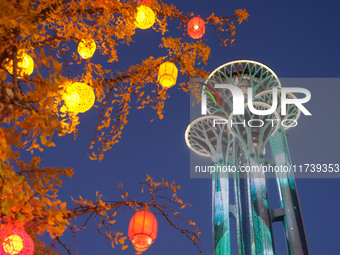 Ginkgo trees are silhouetted against the Olympic Tower in Beijing, China, on November 3, 2024. (