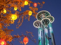 Ginkgo trees are silhouetted against the Olympic Tower in Beijing, China, on November 3, 2024. (